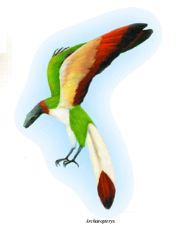 archaeopteryx