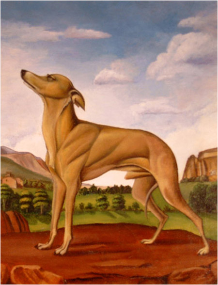 rennaisance greyhound