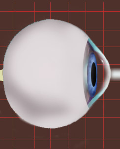 eye